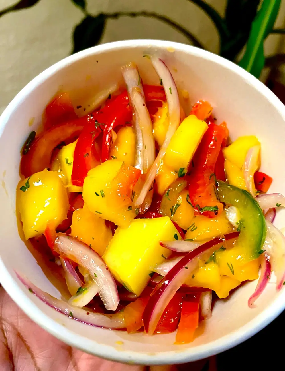 Ceviche de Mango